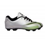 HDL Football Shoes Zeel Silver Green